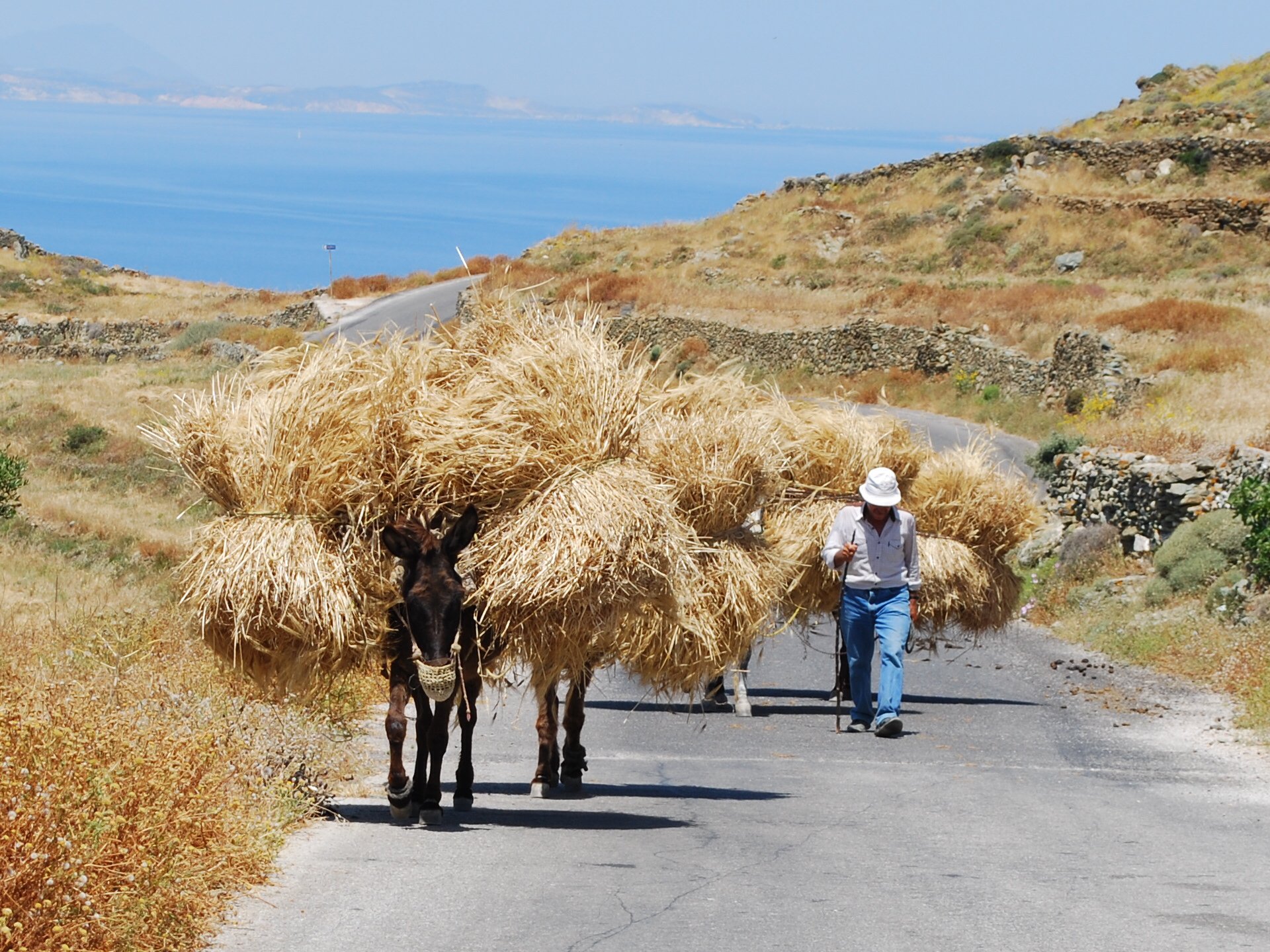 rural life, ano meria Photo from Serfiotiko in Folegandros | Greece.com