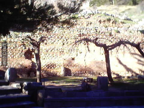 Delphi ext wall