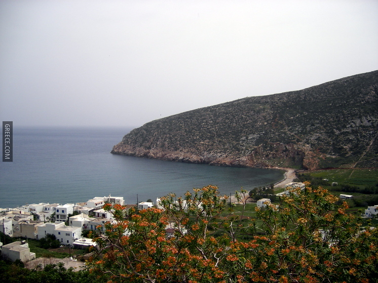 Apollonas (Naxos)