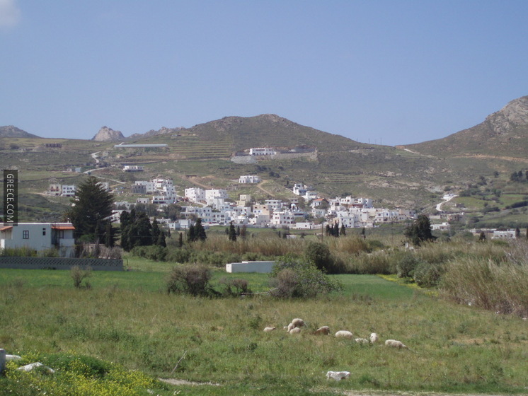 Naxos Galini