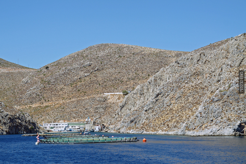 Fish farms near Kalymnos 1