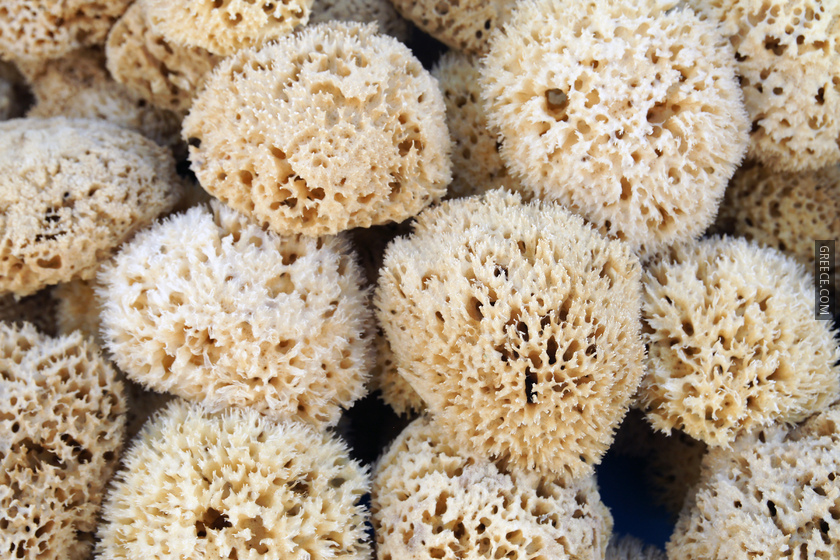 Kalymnos sponges 3