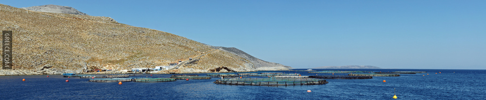Fish farms near Kalymnos 2