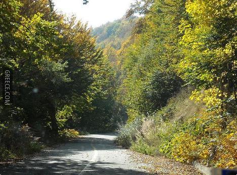 KastoriaFlorina National Road via Vitsi Mountain