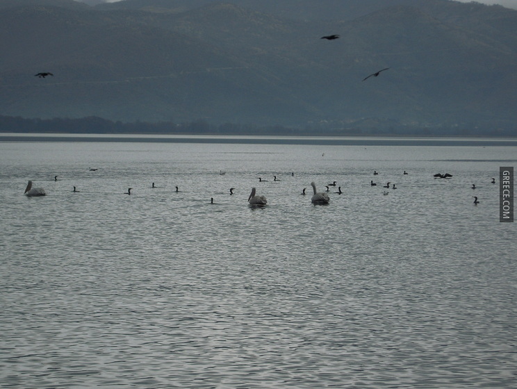 059 Kostur Lake