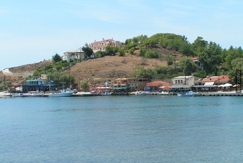 Limia port