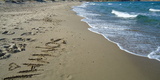 Greece.com_3_Limnos_beach