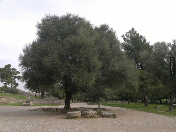 Ancient Olympia, Greece29