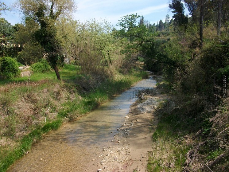 El riu Cladeu (Kladeos) al seu pas per Olímpia