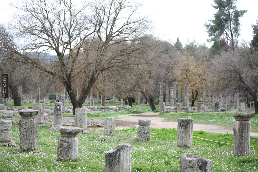 Gymnasion and Palaestra in Olympia 2010 2