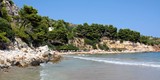 Greece.com_4_alonissos_chrisi_milia_beach
