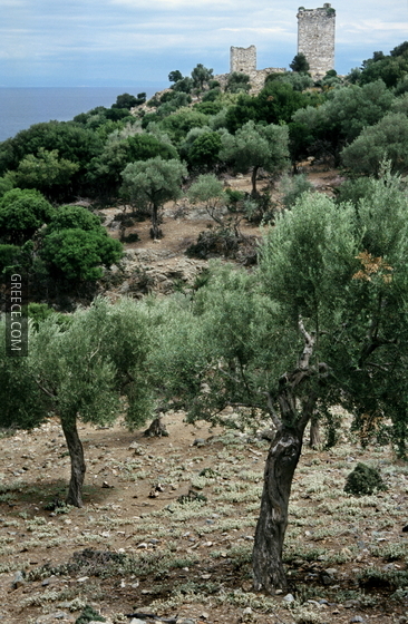 20020800 Paleopolis Samothrace island Thrace Greece