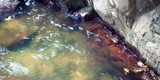 Samothraki-pond-red-layers