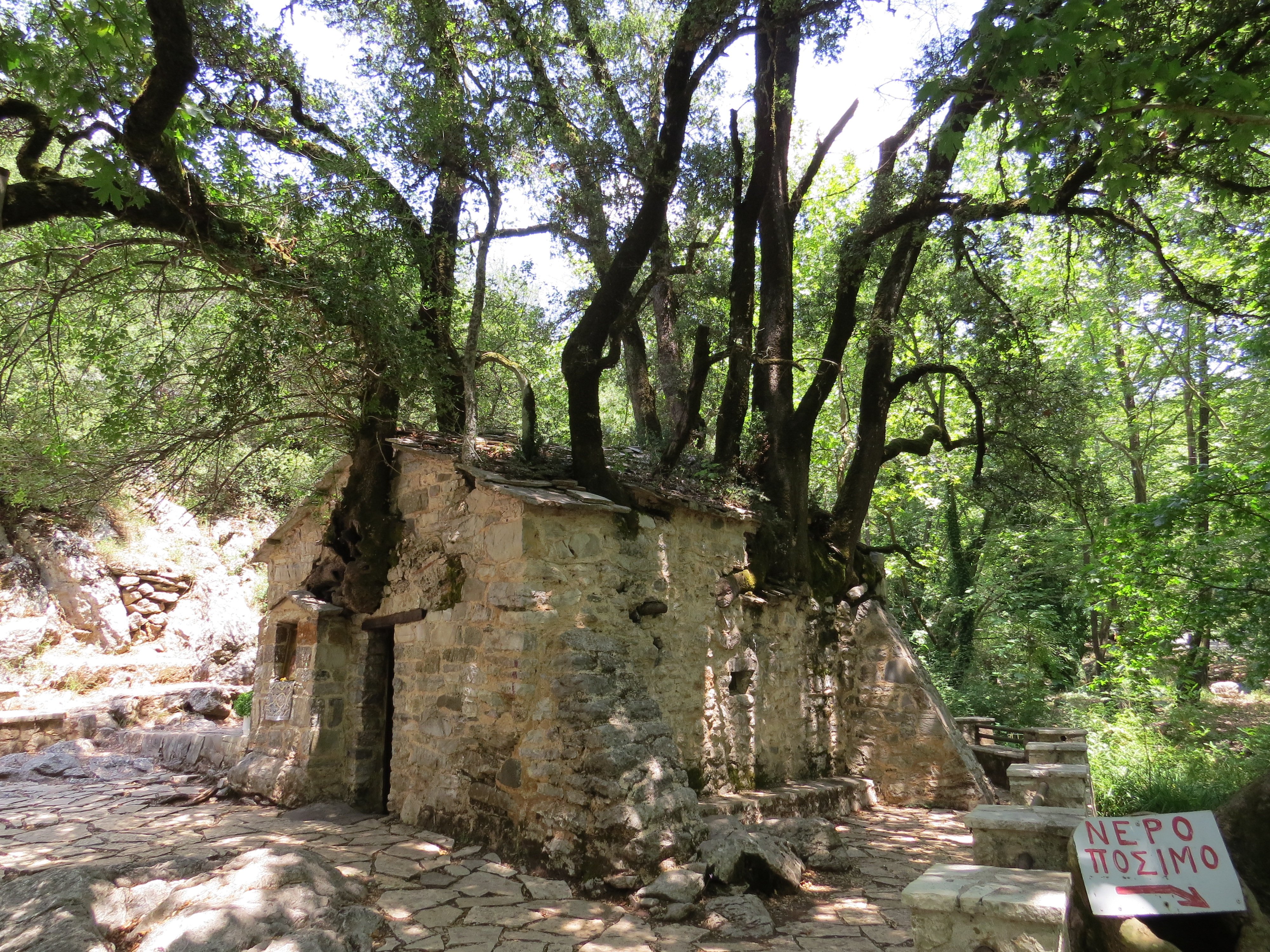 Theodora Tree Orthodox church of Saint Theodora of Vasta with 17 big trees on its ...
